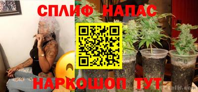 PSILOCYBIN Гагарин