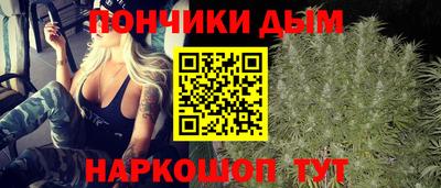 прущие крисы Гай