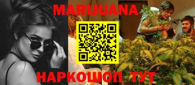 прущие крисы Гай